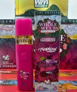 Whole Melt v6 Disposable Box - 100 Pack Sealed Box